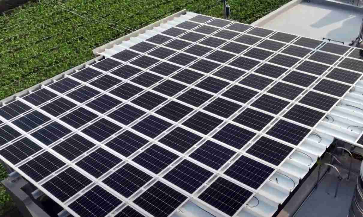 红龙扑克SunSteel光电浪板升级双玻结构，，，以提升机械负载强度及气候耐候度，，可广泛运用于多元场域